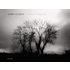 Border Country - James Clancy - James Clancy