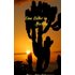 Eine Liebe in Mexiko - Buch
