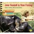 Abenteuer & Wissen: Jane Goodall & Dian Fossey