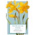 Die Blumen bei Goethe - Johann Wolfgang von Goethe