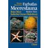 Farbatlas Meeresfauna - Werner Baumeister