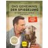 Das Geheimnis der Spiegelung