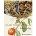 Maria Sibylla Merians Schmetterlinge - Buch