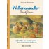 Weltenwandler Rudolf Steiner und der Bau des Goetheanums. - Buch