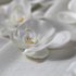 Realistic butterfly orchid head handmade DIY floral petals making headdress accessories white artificial flowers