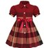 2024 summer new style children’s skirt short-sleeved plaid skirt girls dress shirt skirt cross-border exclusive for dropshipping