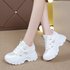 Fashion Casual Mesh Shoes Style Dad Women’s Shoes New Style Breathable Casual Student Sports