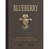 Blueberry, Tome 13 : Dyptique : Mister Blueberry; Ombres sur Tombstone