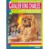 El Nuevo Libro Del Cavalier King Charles: Estandar Origenes Y Ev Oluci - DANIELLE MARCHAND