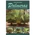 Palmeras: Morfologia Cultivo Y Reproduccion - PEDRO MOTA IBAÑEZ