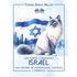 Um Gato Chamado Israel (ebook) - Vv.aa.