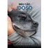 Meu Cão Idoso (ebook) - Carina Duarte