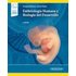 Embriología Humana Y Biología Del Desarrollo 3ª Edición - SEBASTIAN MANUEL ARTEAGA MARTINEZ