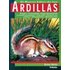 El Nuevo Libro De Las Ardillas Tamaño Costumbres Jaula: Dimensi Ones Y - MICHAEL MELITER