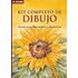 Kit Completo De Dibujo (tecnicas Equipamiento Y Proyectos) - JEREMY RADVAN
