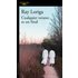 Cualquier Verano Es Un Final (ebook) - Ray Loriga
