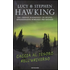 Caccia al tesoro nell'universo - Lucy Hawking;Stephen Hawking