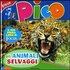 Focus Pico. Animali selvaggi - Federica Baroni