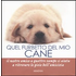 Quel furbetto del mio cane