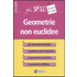 Geometrie non euclidee - Silvia Benvenuti