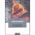 Legno ed energia. Come produrre energie con le biomasse legnose