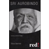 Sri Aurobindo - Silvia Sermidi