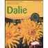 Dalie. Una incredibile varietà di forme e colori
