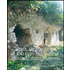 Carta archeologica e ricerche in Campania. Ediz. illustrata. Vol. 157: Comuni di Ailana, Casapesenna, Castelvenere, Pratella, Raviscanica, Roccainola, San Cipriano D'Aversa.