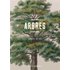Arbres : lignes de vie - Luc Menapace