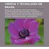 Ciencia y tecnología de Brasil als Taschenbuch von