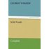Wild Youth Complete - Gilbert Parker