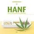 Hanf - Mayoori Buchhalter/ Daniel Kruse