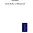 Islands Kultur zur Wikingerzeit - Felix Niedner