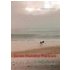 Eines Hundes Portrait: Novellistische Szenarien Adrian W Frïhlich Author