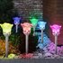 Easylife Solar Rose Lights, Size Pack Of 6