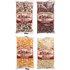 Amish Country Popcorn Amish Country Popcorn, Variety Set Popcorn , 4 Pack, 4 oz (113 g) Each