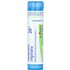 Boiron Boiron, Hamamelis Virginiana, 30C, Hemorrhoid Relief, Approx 80 Pellets