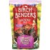 Birch Benders Birch Benders, Brownie Mix, Organic Ultimate Fudge, 13.4 oz (380 g)