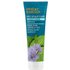 Desert Essence Desert Essence, Dry Scalp Care Conditioner , 8 fl oz (237 ml)