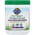 Garden Of Life Garden of Life, Raw Organic Perfect Food®, Alkalizer & Detoxifier, Lemon-Ginger, 9.94 oz (282 g)