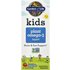 Garden Of Life Garden of Life, Kids Plant Omega-3 Liquid, Strawberry, 2 fl oz (57.5 ml)