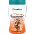 Himalaya Himalaya, Chyavanaprasha, Superfood, 17.83 oz (500 g)