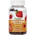 Lifeable Lifeable, Lion's Mane Mushroom Gummies, Berry, 60 Gummies (100 mg per Gummy)