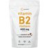 Micro Ingredients Micro Ingredients, Vitamin B2 Riboflavin, 240 Softgels (200 mg per Softgel)