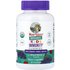 Maryruth's MaryRuth's, Organic Kids Immunity Gummies with Elderberry, Vitamin C, and Zinc, Mixed Berry, 60 Gummies