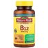 Nature Made Nature Made, Vitamin B12, Fast Dissolve, Cherry, 3,000 mcg, 40 Tablets
