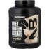 Nutrabio NutraBio, Whey Protein Isolate, Creamy Vanilla, 5 lb (2,268 g)