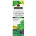 Nature's Answer Nature's Answer, Concentrated Chlorophyll Liquid Drops, Alcohol-Free, 2 fl oz (60 ml)