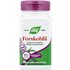 Nature's Way Nature's Way, Forskohlii, 60 Vegan Capsules