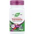 Nature's Way Nature's Way, Turmeric, Max Potency, 750 mg, 60 Vegan Capsules